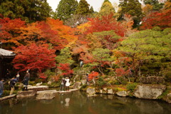 百済寺(喜見院の庭園)