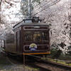 桜トンネル