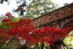 秋の南禅寺水路閣