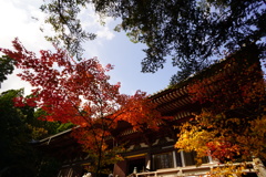 秋の神護寺6