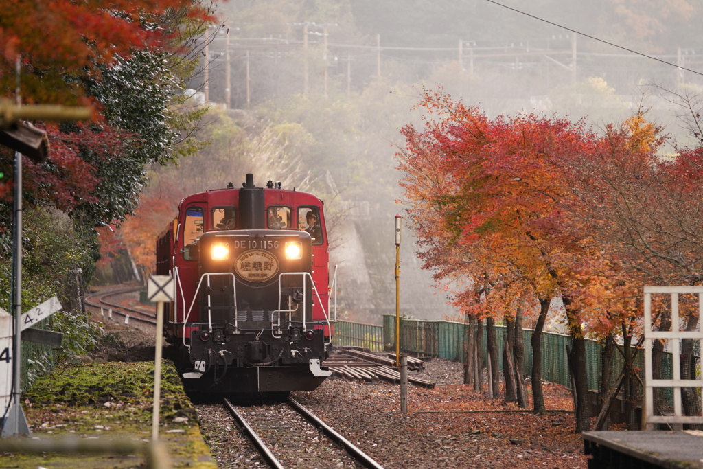 トロッコ保津峡駅