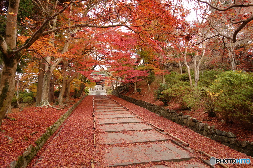 門跡寺院毘沙門堂