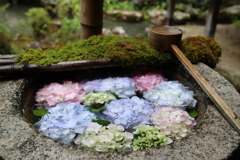 柳谷観音（楊谷寺）①