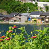 伊根の舟屋1
