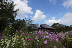 般若寺②