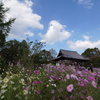 般若寺②