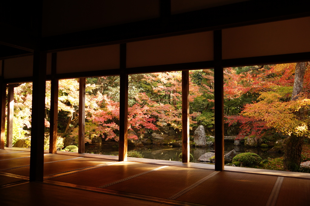 蓮花寺2018