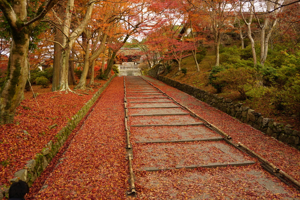 門跡寺院「毘沙門堂」