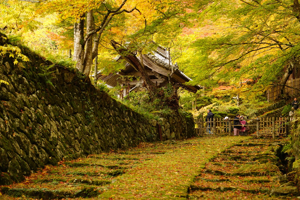 百済寺