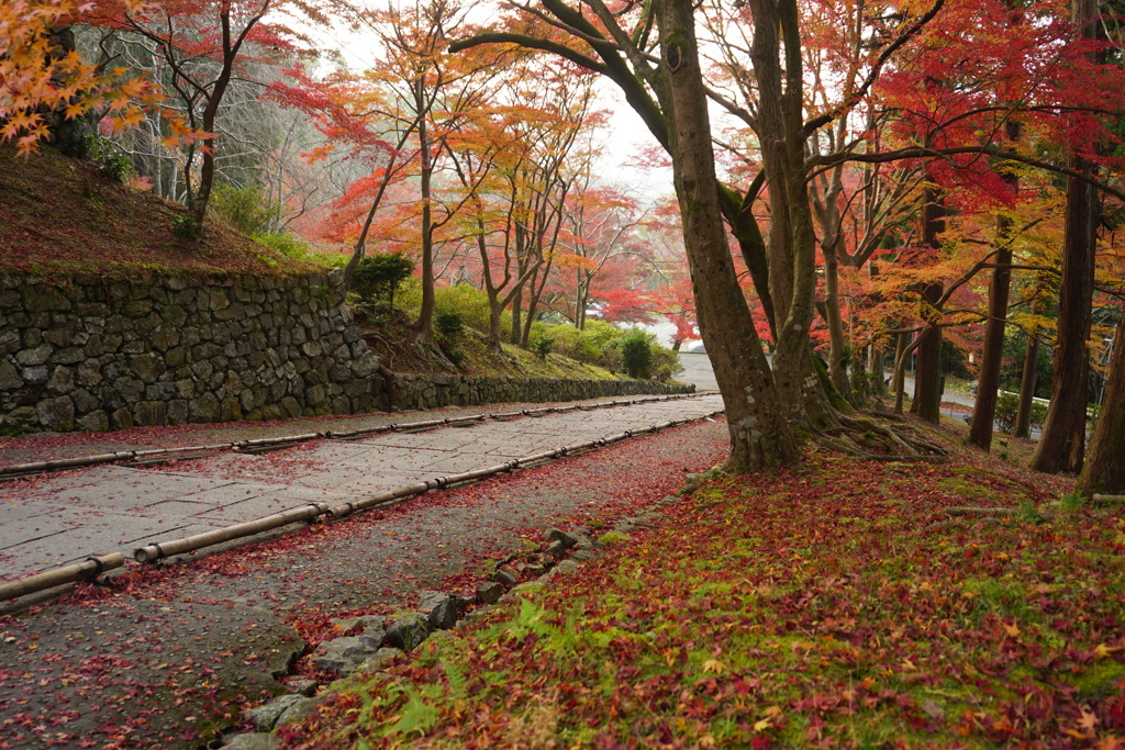 門跡寺院毘沙門堂2018②