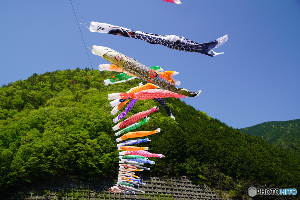 こいのぼり