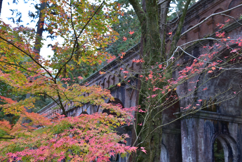 南禅寺紅葉2018