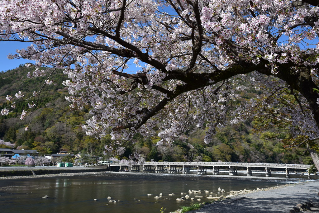 渡月橋