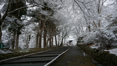 雪の毘沙門堂