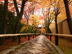 紅葉の光悦寺