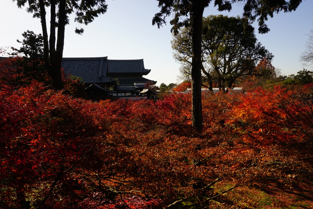 東福寺1