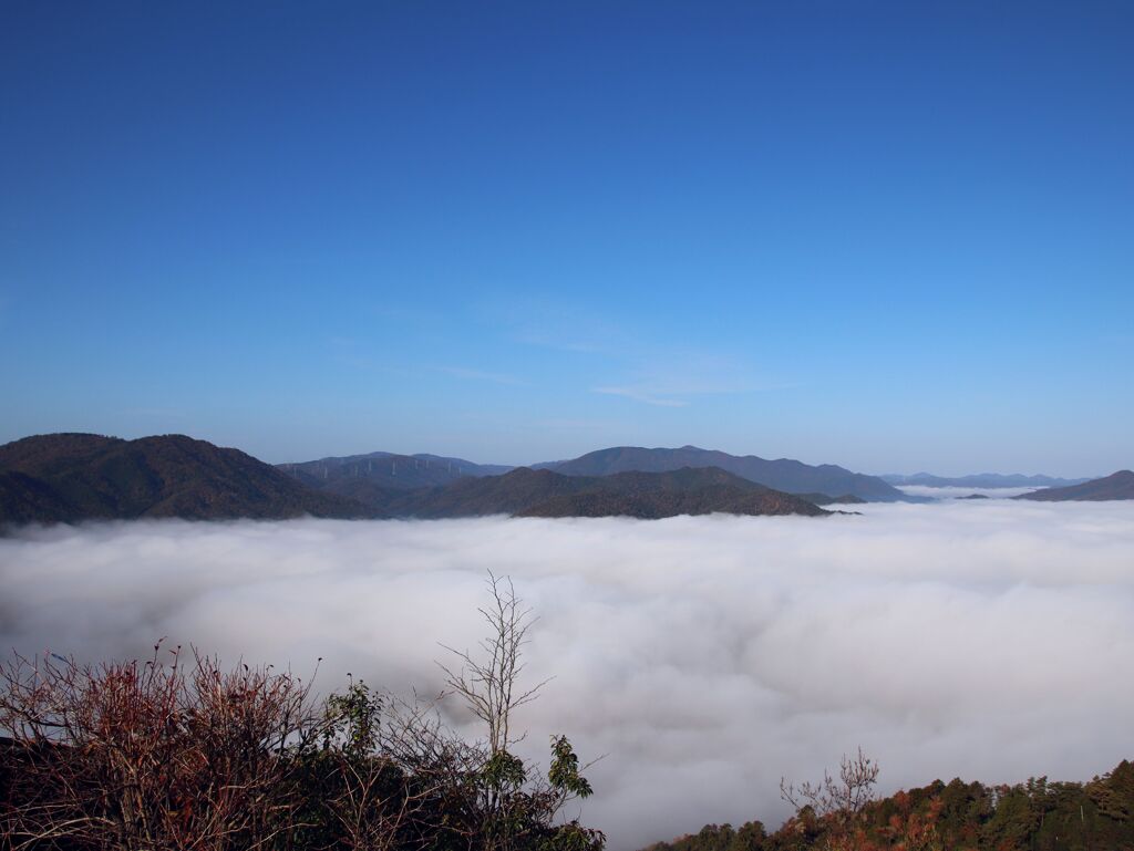 雲海