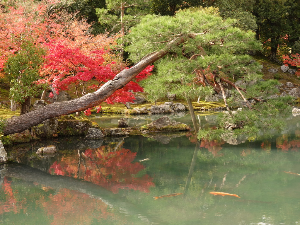 天龍寺2