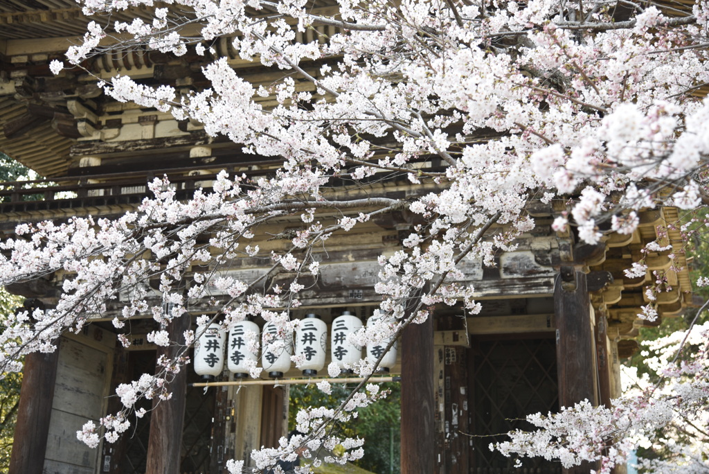 三井寺