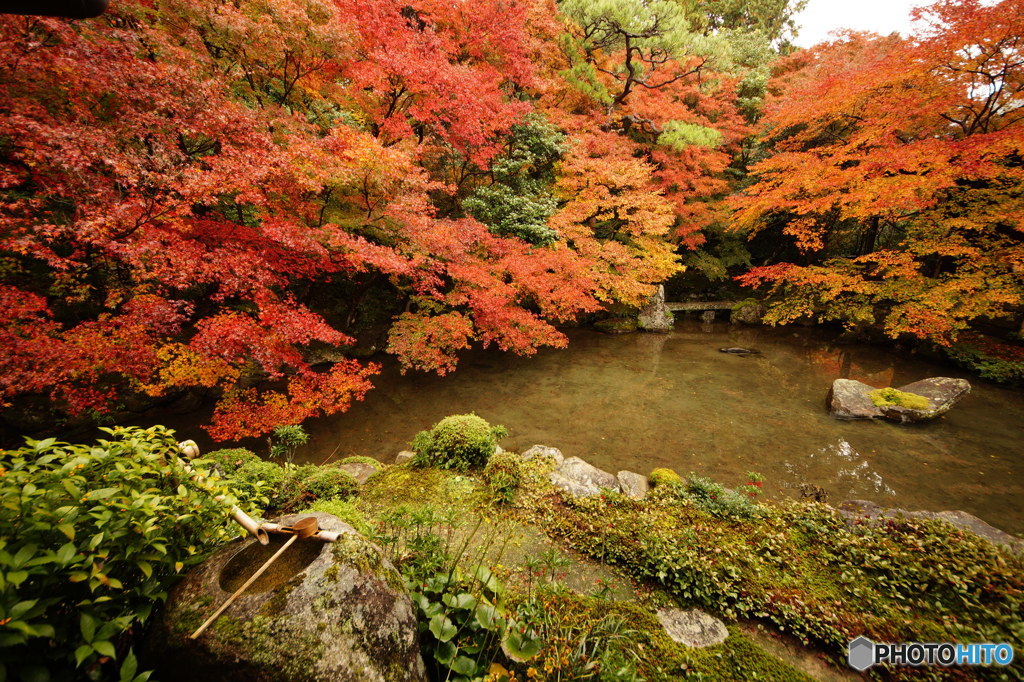 蓮華寺