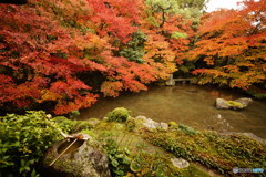 蓮華寺