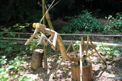 竹カマキリ