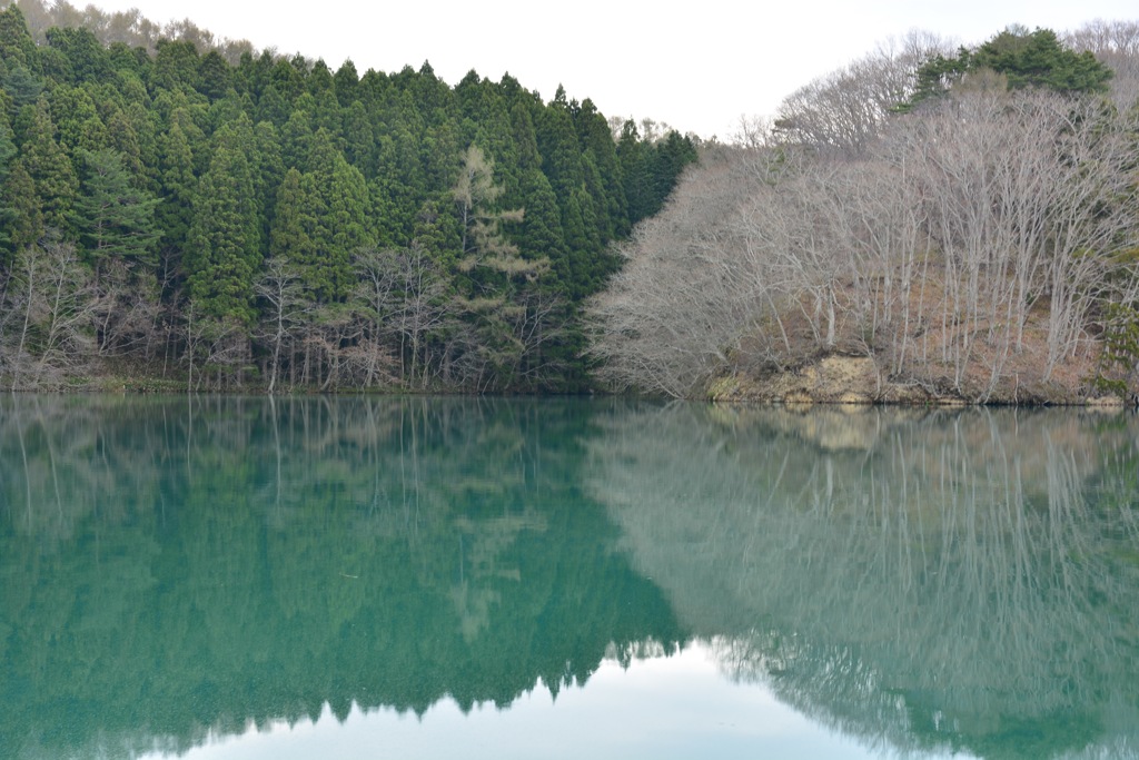 深緑はまだ先