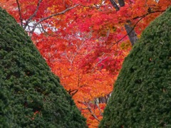 green & red