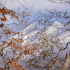 初冬の大沼公園　冠雪の駒ケ岳