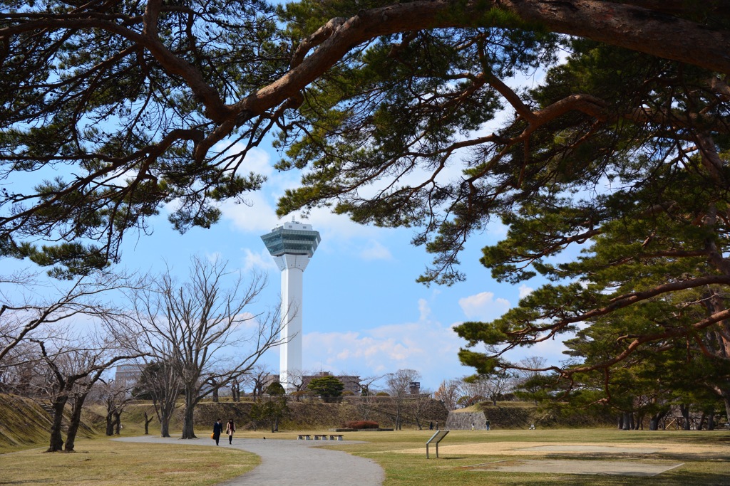 五稜郭公園　桜撮影の練習