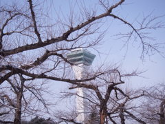 春を待つ五稜郭公園