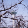 春を待つ五稜郭公園