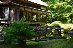 深緑の庭園