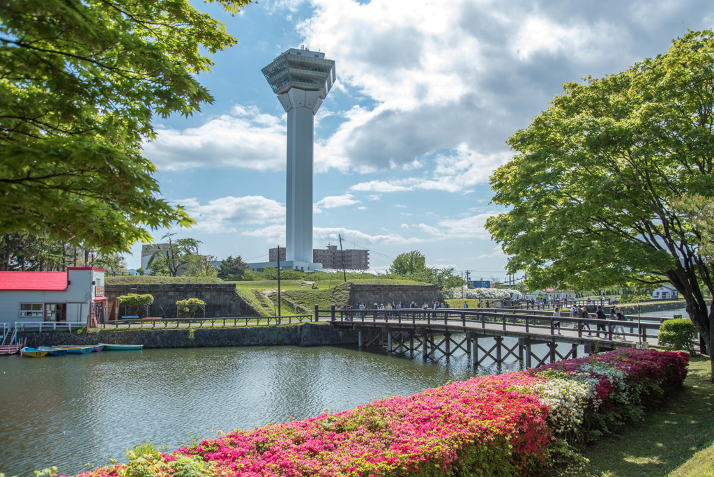 初夏の五稜郭公園