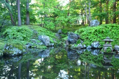 早朝の庭園