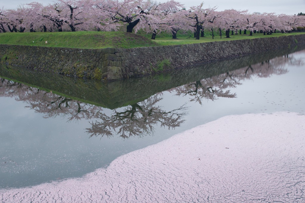 弘前公園にはかないませんが