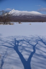 青い影と駒ケ岳