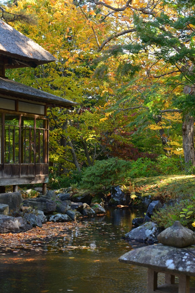 晩秋の庭園