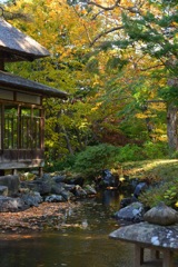 晩秋の庭園