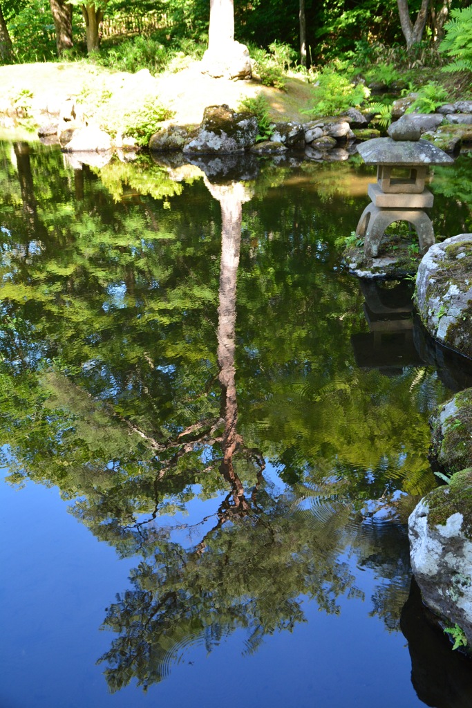 深緑の庭園　水鏡