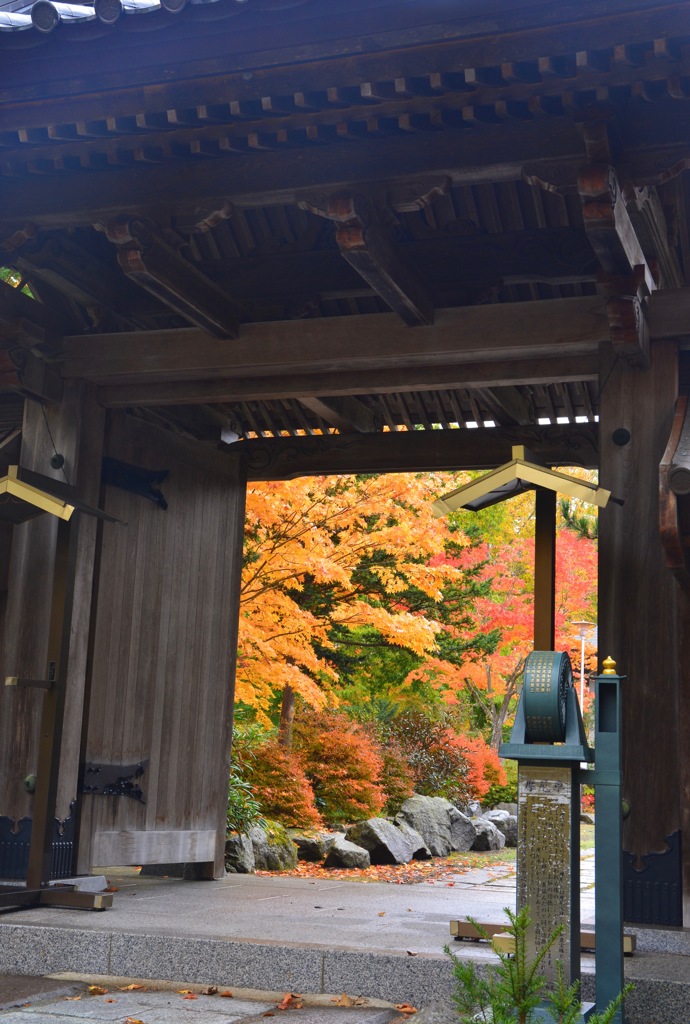 境内の紅葉