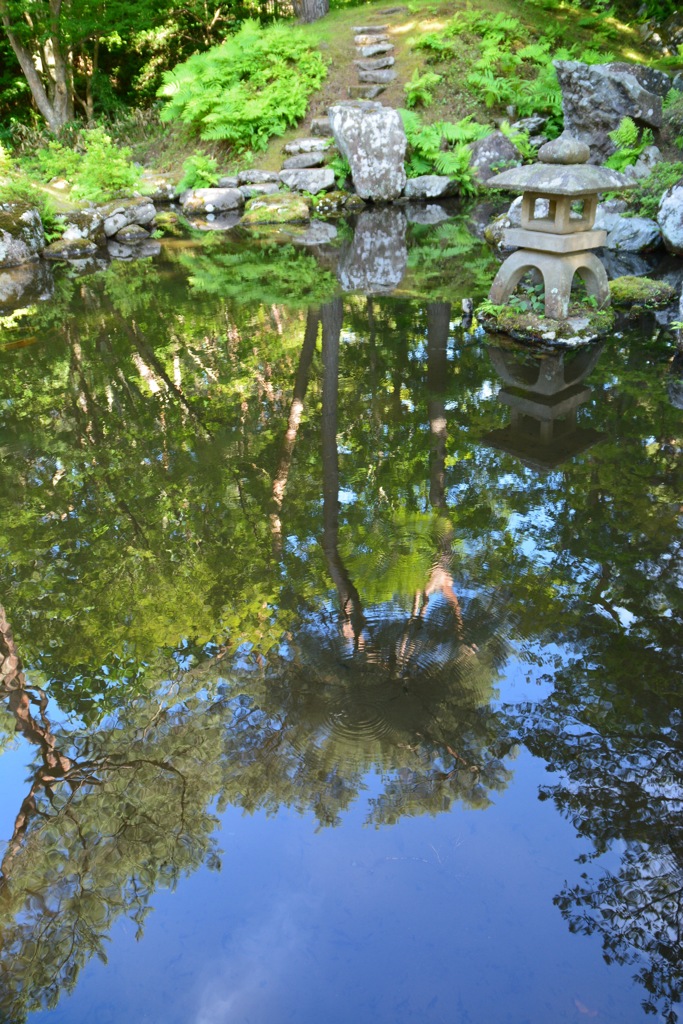 深緑の庭園　水鏡