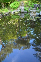 深緑の庭園　水鏡