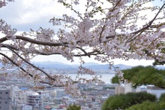 元町配水場から
