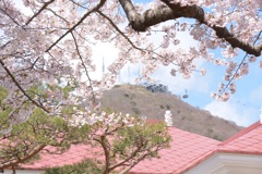 函館山