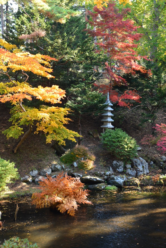 晩秋の庭園