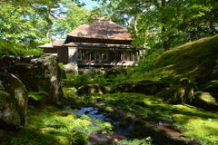 苔生す庭園