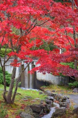 ダム公園