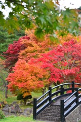 ダム公園