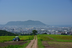 函館山とトラクター